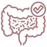 Detox and Gut Health